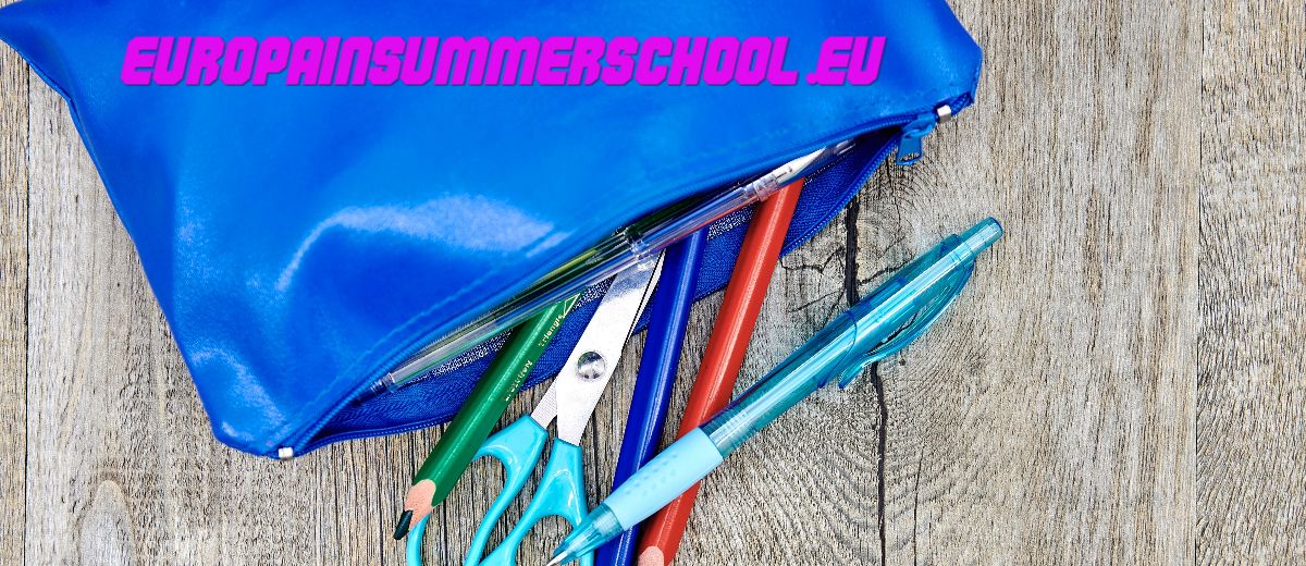 europainsummerschool.eu